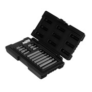 Набор бит TORX, хвостовик-шестигранник, 10 мм, CrV, 15 предметов Stels 14613